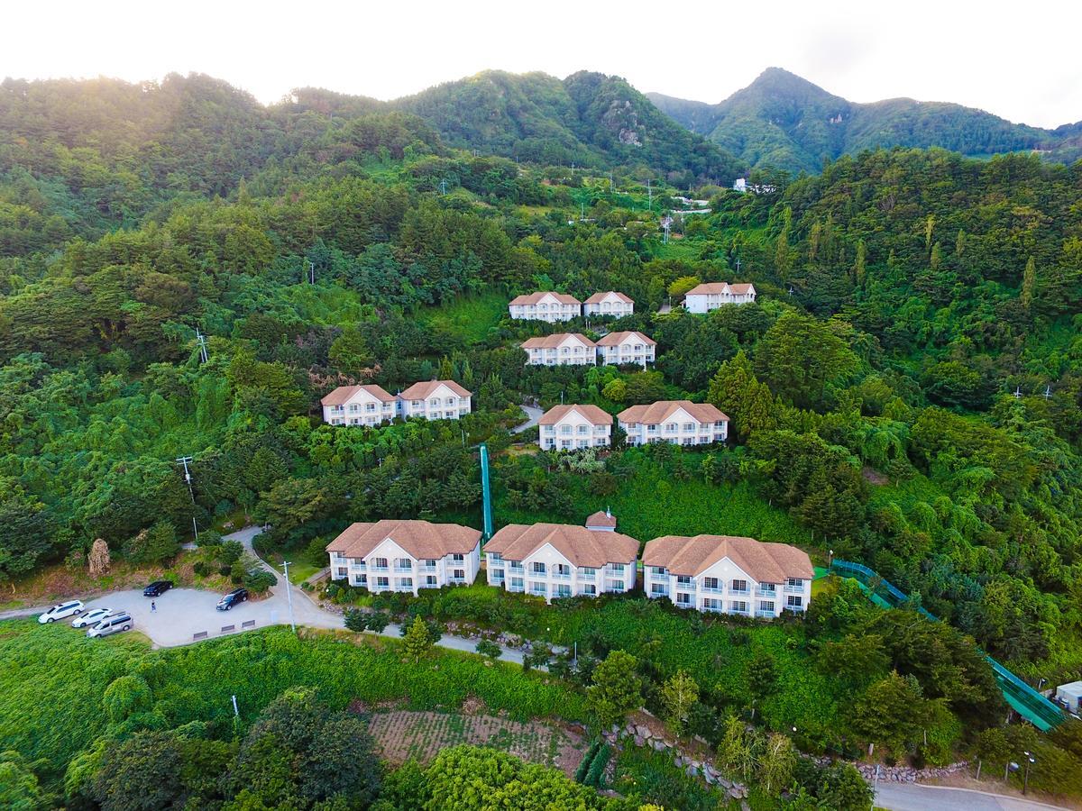 Daea Ulleung Resort المظهر الخارجي الصورة